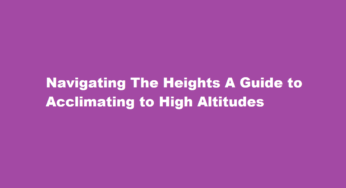 Navigating The Heights A Guide to Acclimating to High Altitudes