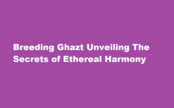 The Secrets of Ethereal Harmony