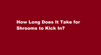 How Long Does It Take for Shrooms to Kick In?