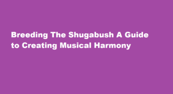 Breeding The Shugabush A Guide to Creating Musical Harmony
