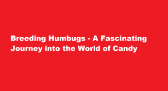 Breeding Humbugs – A Fascinating Journey into the World of Candy
