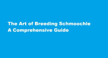 The Art of Breeding Schmoochle A Comprehensive Guide