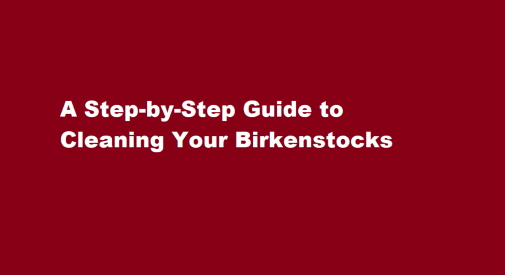 how to clean birkenstocks