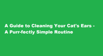 A Guide to Cleaning Your Cat’s Ears – A Purr-fectly Simple Routine