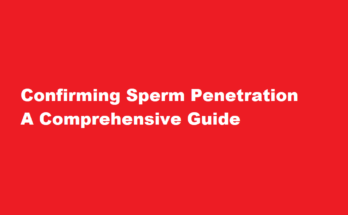 how to confirm whether sperm went inside
