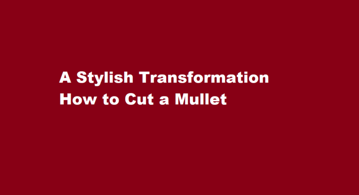 how to cut a mullet