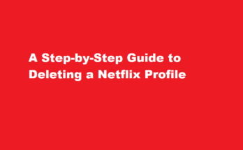 how to delete netflix profile