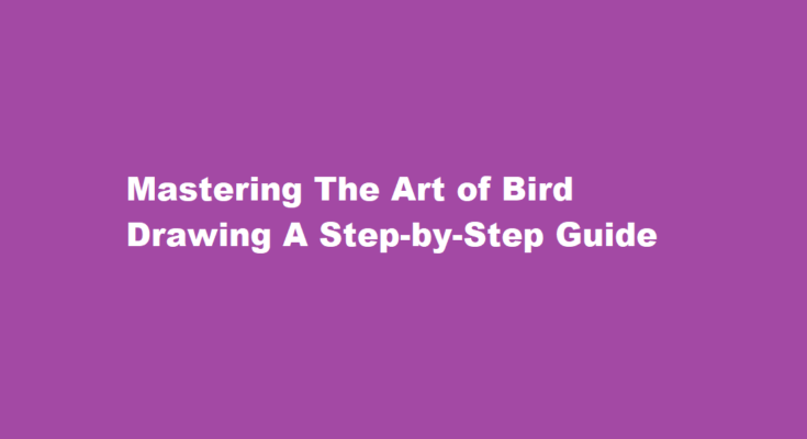 how to draw a bird