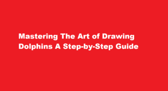 Mastering The Art of Drawing Dolphins A Step-by-Step Guide