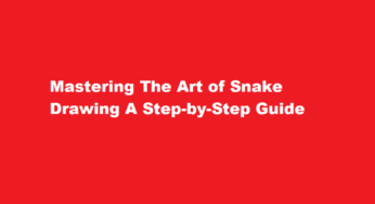 Mastering The Art of Snake Drawing A Step-by-Step Guide