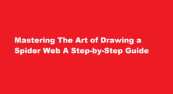 Mastering The Art of Drawing a Spider Web A Step-by-Step Guide