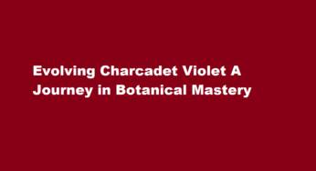 Evolving Charcadet Violet A Journey in Botanical Mastery