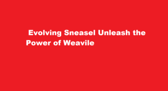  Evolving Sneasel Unleash the Power of Weavile