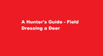 A Hunter’s Guide – Field Dressing a Deer