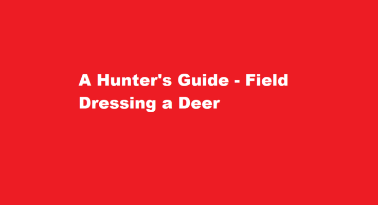 how to field dress a deer