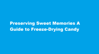 Preserving Sweet Memories A Guide to Freeze-Drying Candy