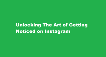 Unlocking The Art of Getting Noticed on Instagram