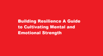 Building Resilience A Guide to Cultivating Mental and Emotional Strength