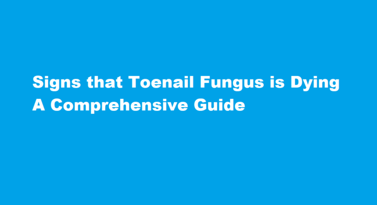 how to know if toenail fungus is dying
