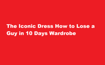 how to lose a guy in 10 days dress