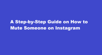 A Step-by-Step Guide on How to Mute Someone on Instagram