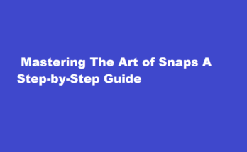 how to play snaps