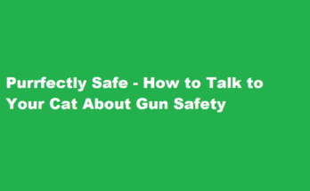 how to talk to your cat about gun safety