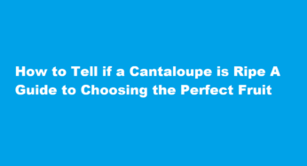 How to Tell if a Cantaloupe is Ripe A Guide to Choosing the Perfect Fruit