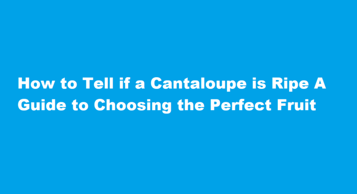 how to tell if a cantaloupe is ripe