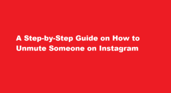 A Step-by-Step Guide on How to Unmute Someone on Instagram