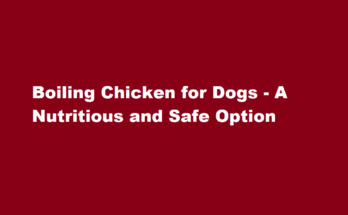 how to boil chicken for dogs