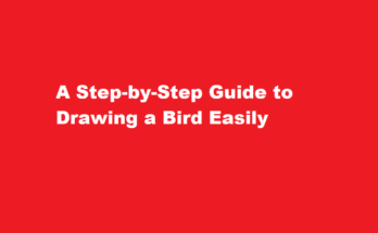 how to draw a bird easy