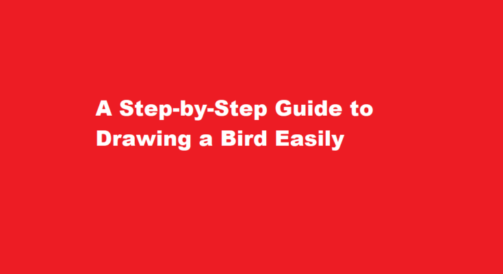 how to draw a bird easy