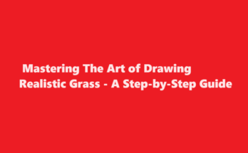 how to draw grass