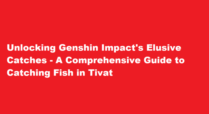 how to get the catch genshin