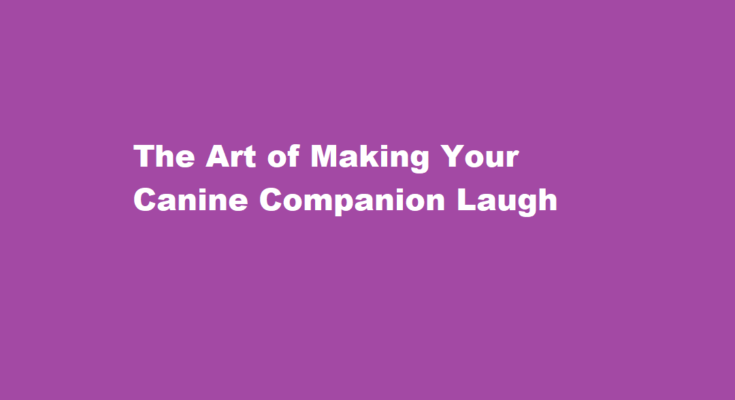 how to make a dog laugh