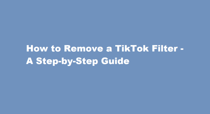 how to remove a tiktok filter