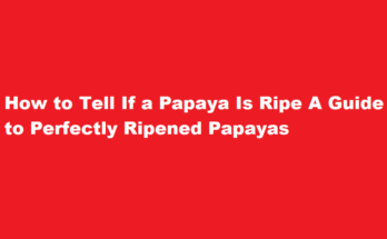 how to tell if a papaya is ripe