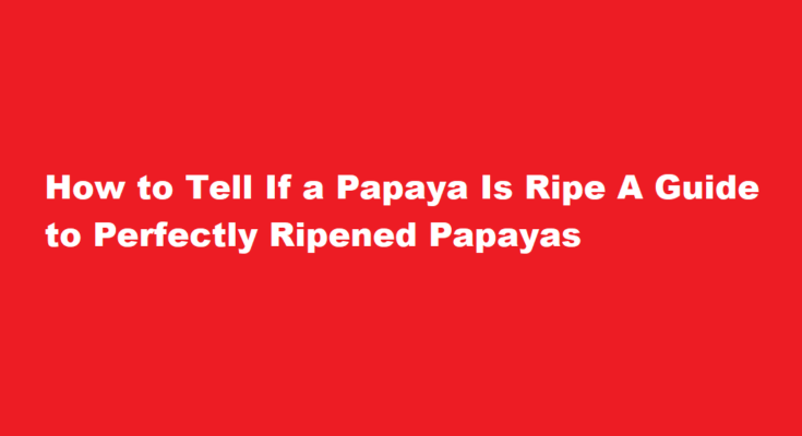 how to tell if a papaya is ripe