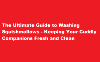 how to wash squishmallows