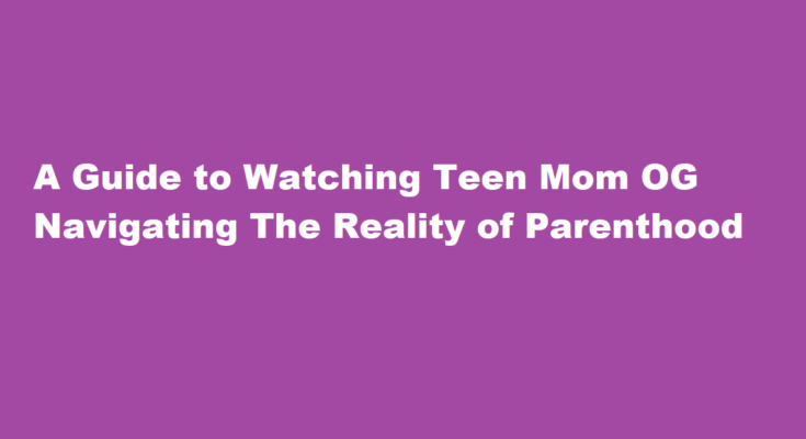 how to watch teen mom og