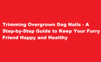 overgrown how to cut dog nails