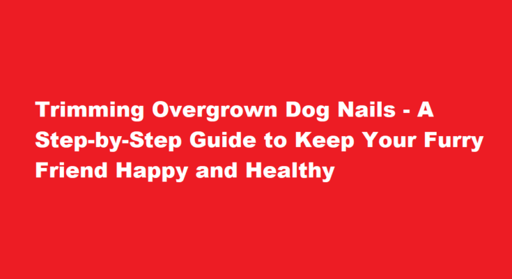 overgrown how to cut dog nails